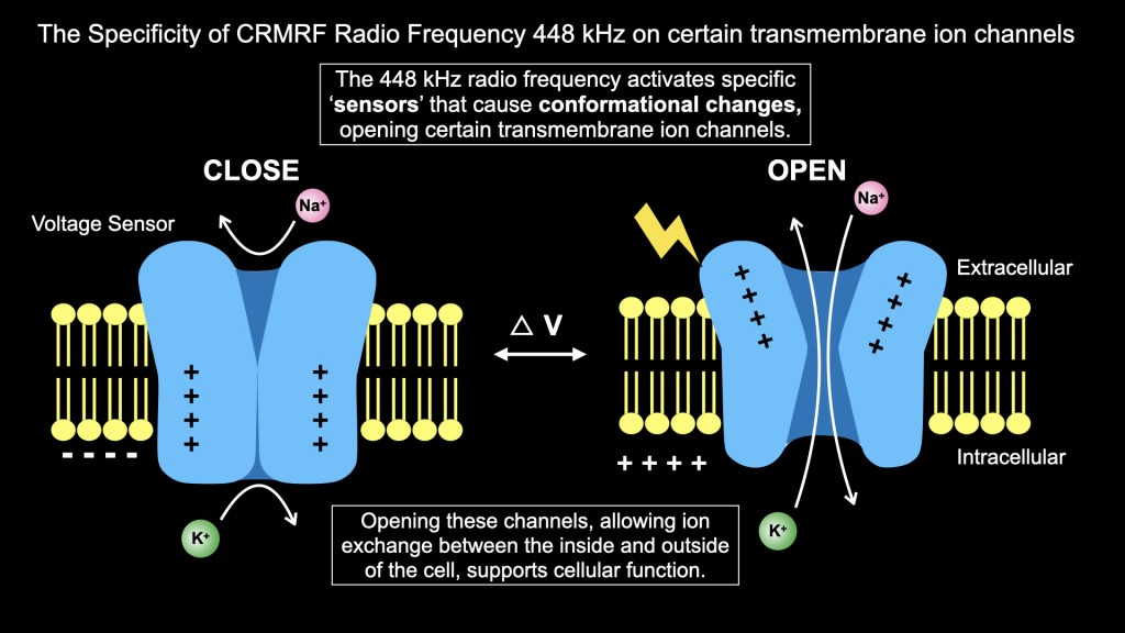 Dr. James Chan Hong Kong-AMSC 2025-INDIBA-TechnologyBasic science 448kHz 20251215 leng.hk.013
