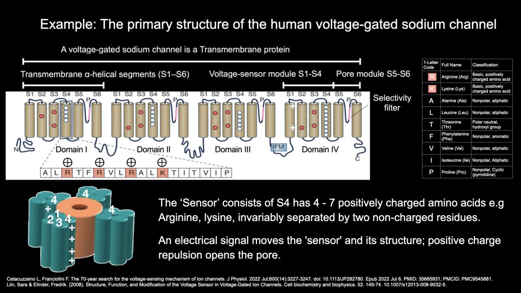 Dr. James Chan Hong Kong-AMSC 2025-INDIBA-TechnologyBasic science 448kHz 20251215 leng.hk.014
