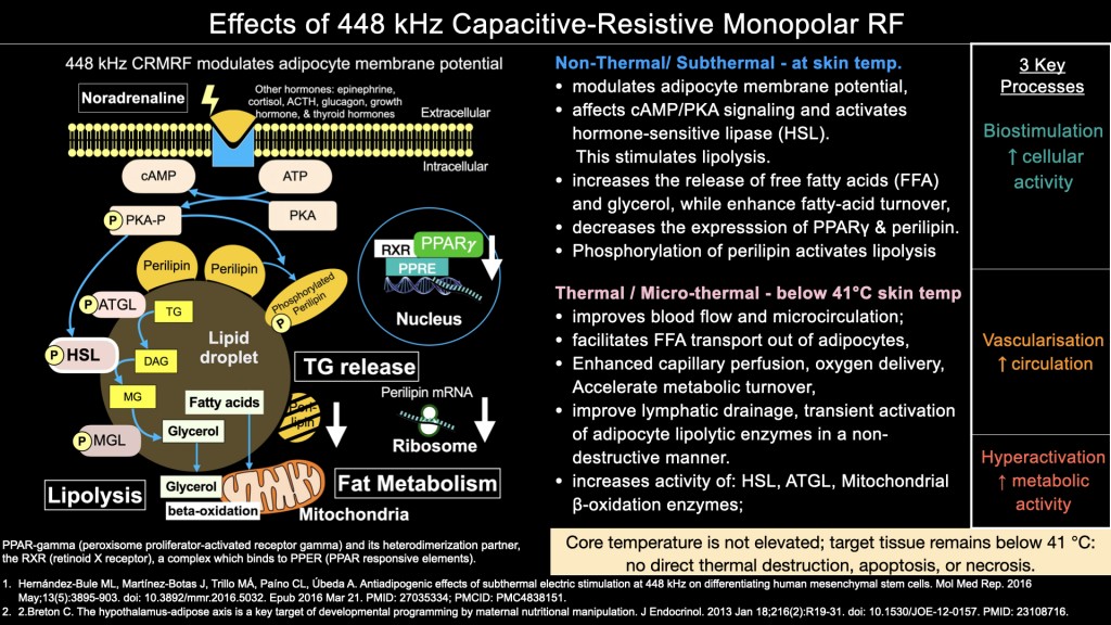 Dr. James Chan Hong Kong-AMSC 2025-INDIBA-TechnologyBasic science 448kHz 20251215 leng.hk.016