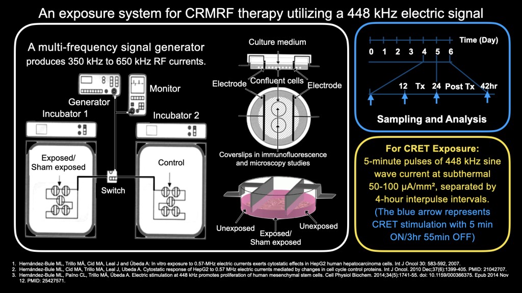 Dr. James Chan Hong Kong-AMSC 2025-INDIBA-TechnologyBasic science 448kHz 20251215 leng.hk.017