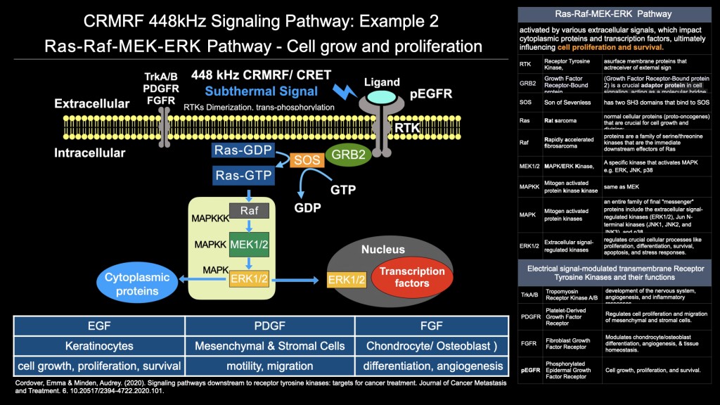 Dr. James Chan Hong Kong-AMSC 2025-INDIBA-TechnologyBasic science 448kHz 20251215 leng.hk.019